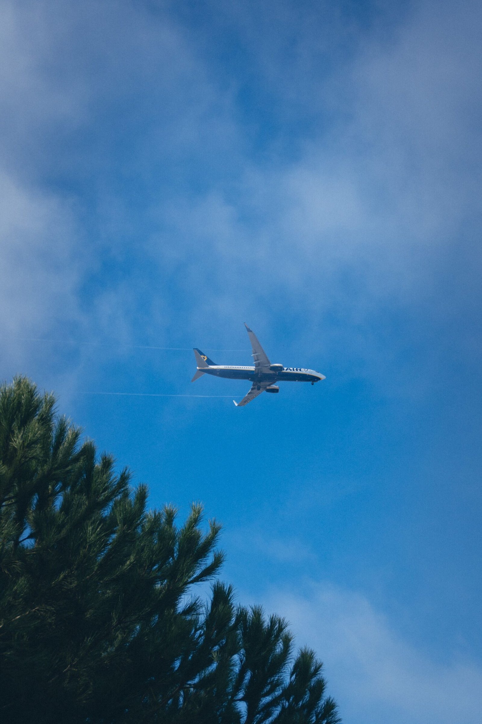 Airline selection guide